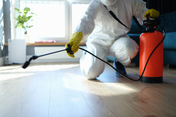 Reliable Hoarding Cleanup contractor in Valmeyer, IL by Dulley Family Biohazard Services